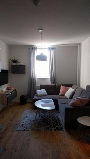 Apartmán Jestřáb č. 23 - u kabinky